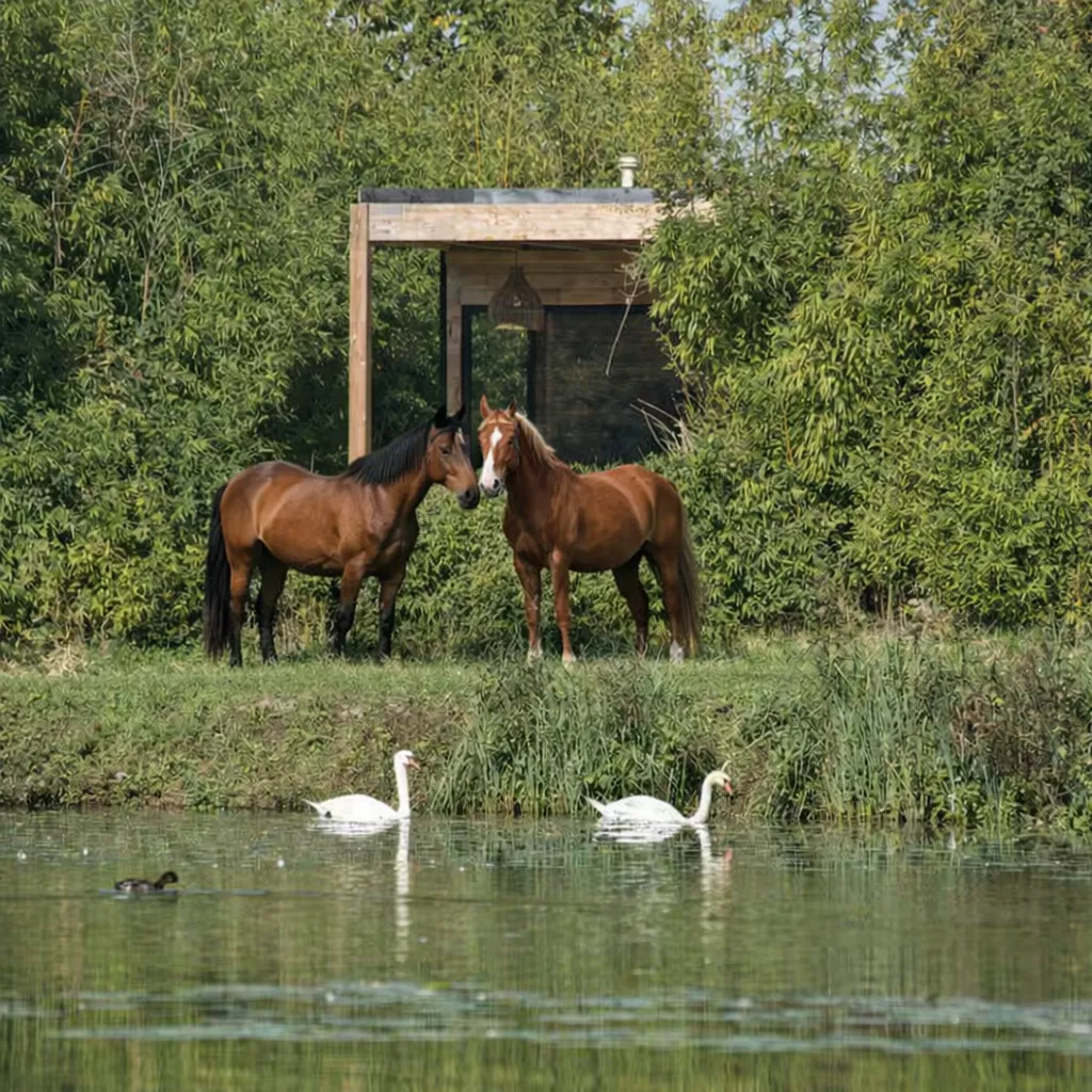 Balade à cheval