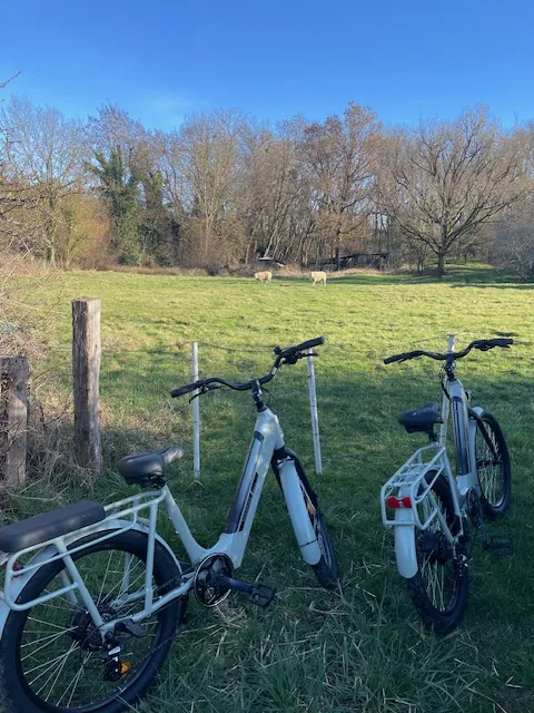 Balade à vélo électrique 1